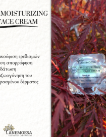 24h Moisturizing Face Cream - Anemoesa