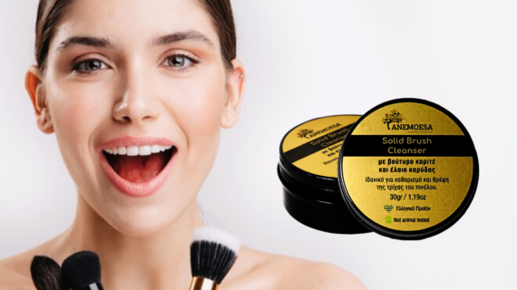 Solid Brush Cleanser Ι Anemoesa